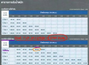 knowledge spun-micropile micropile ไมโครไพล์